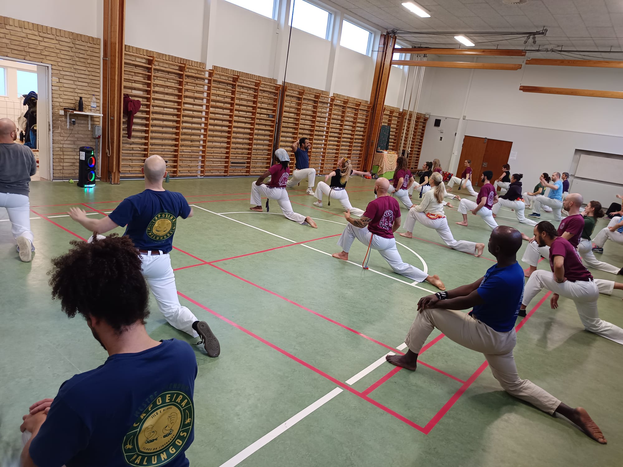 Capoeiristas