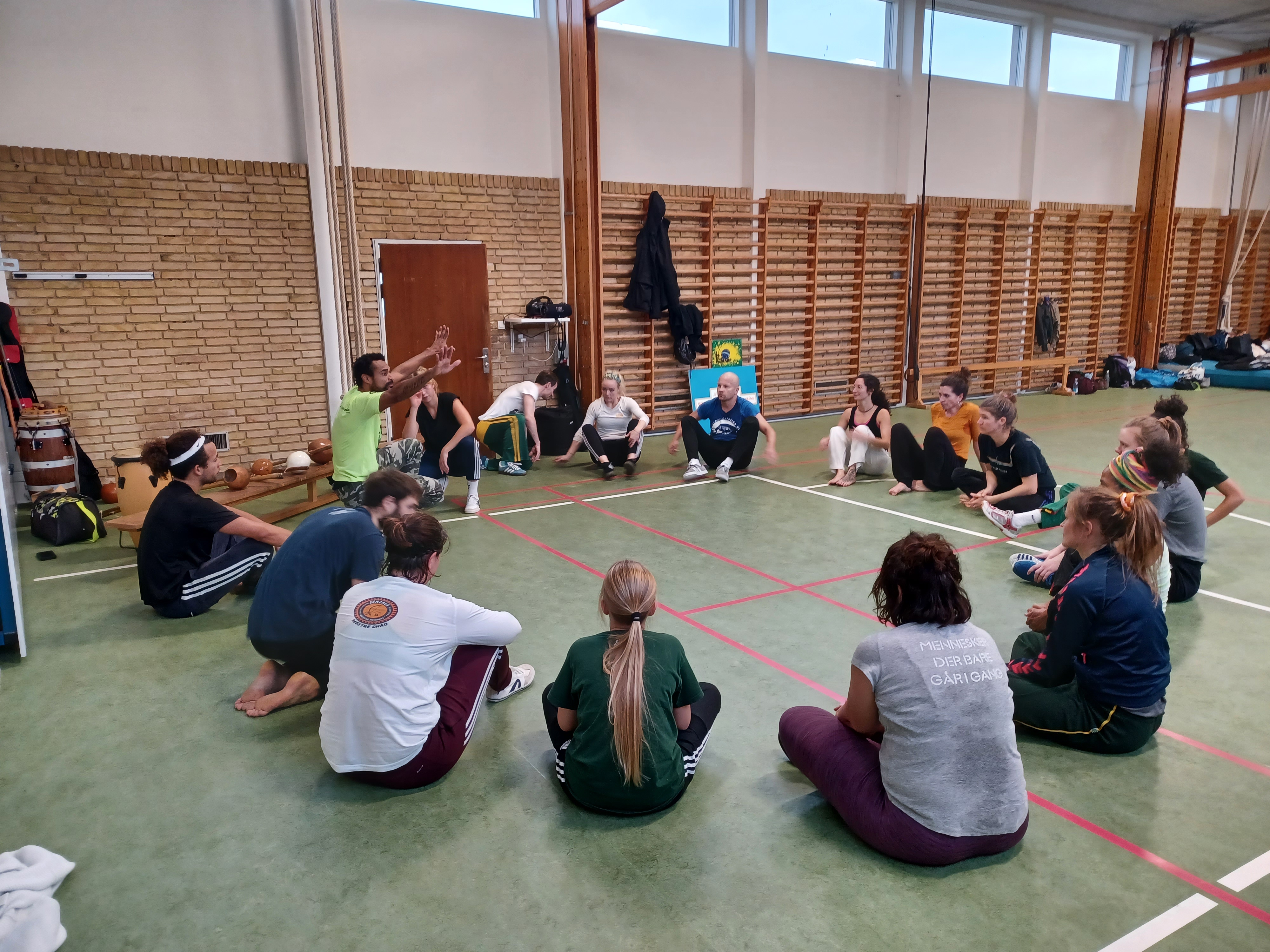 Capoeira Malungos