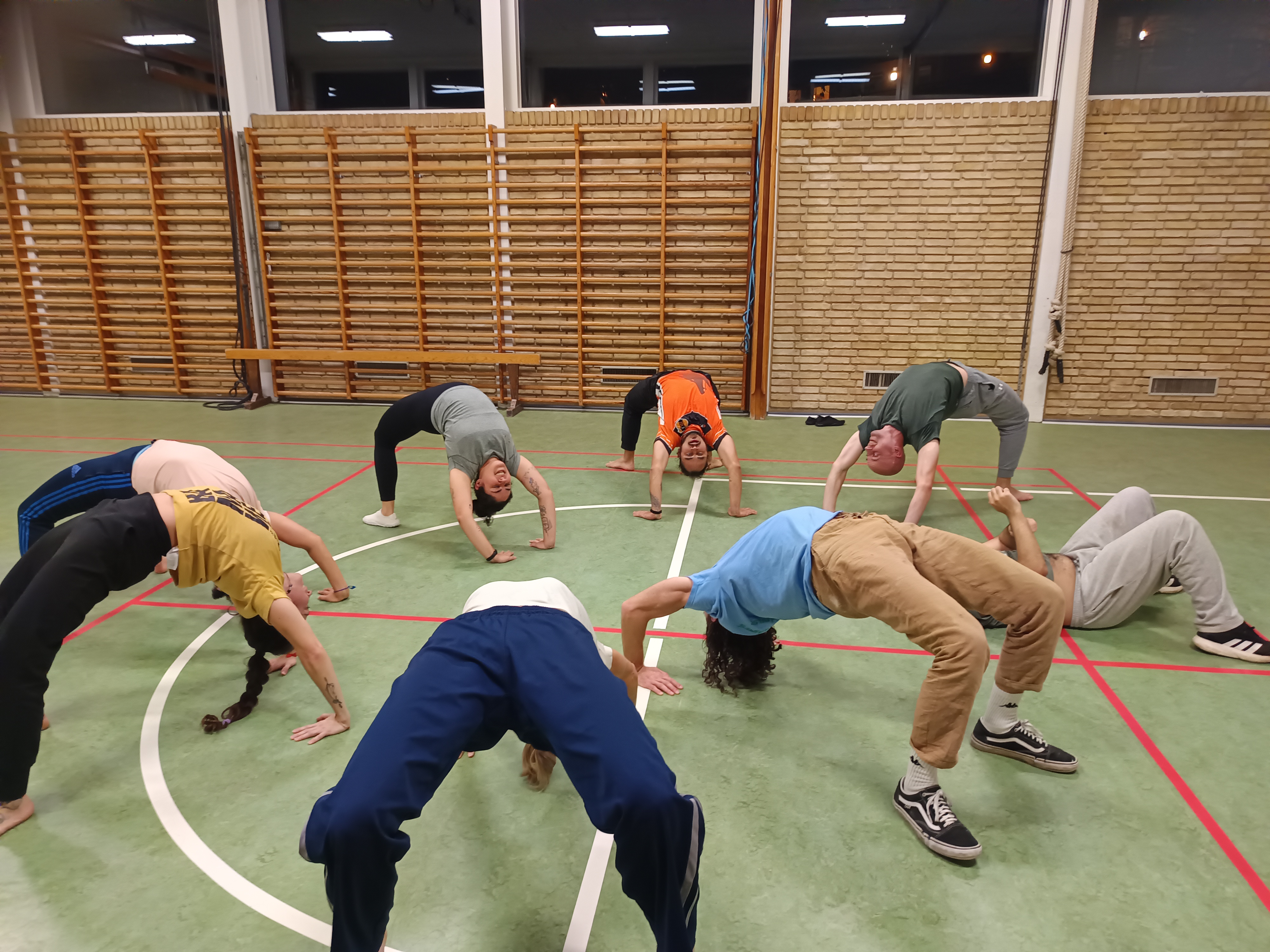 Malungos Treino Odense